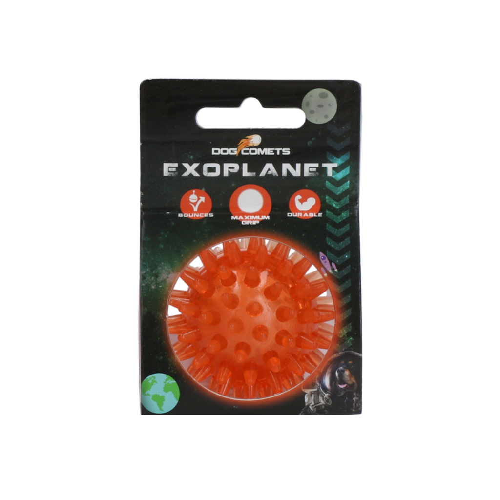 Dog Comets Exoplanet Egelbal