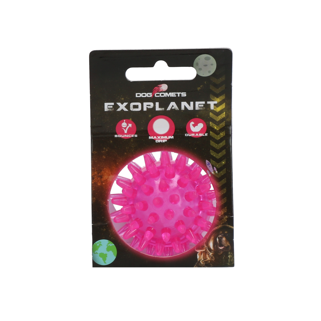 Dog Comets Exoplanet Egelbal