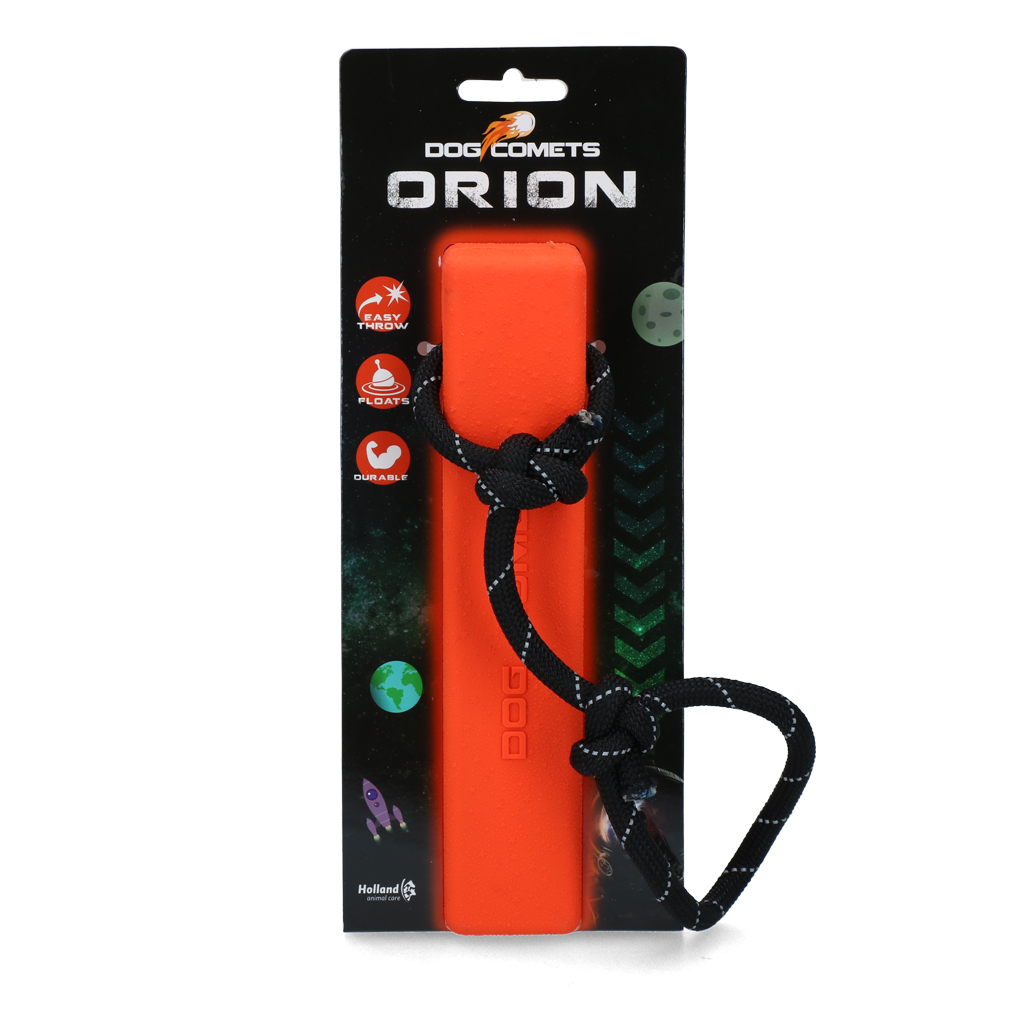 Dog Comets Orion
