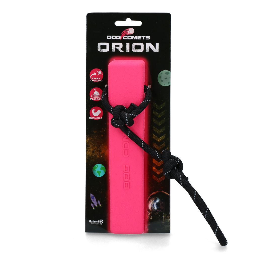 Dog Comets Orion