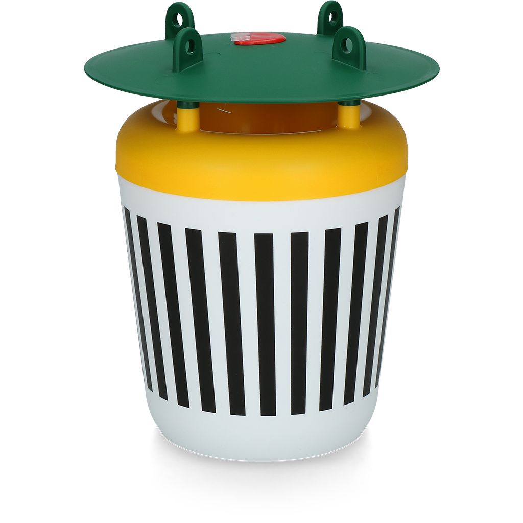 Black Stripe Mottenval