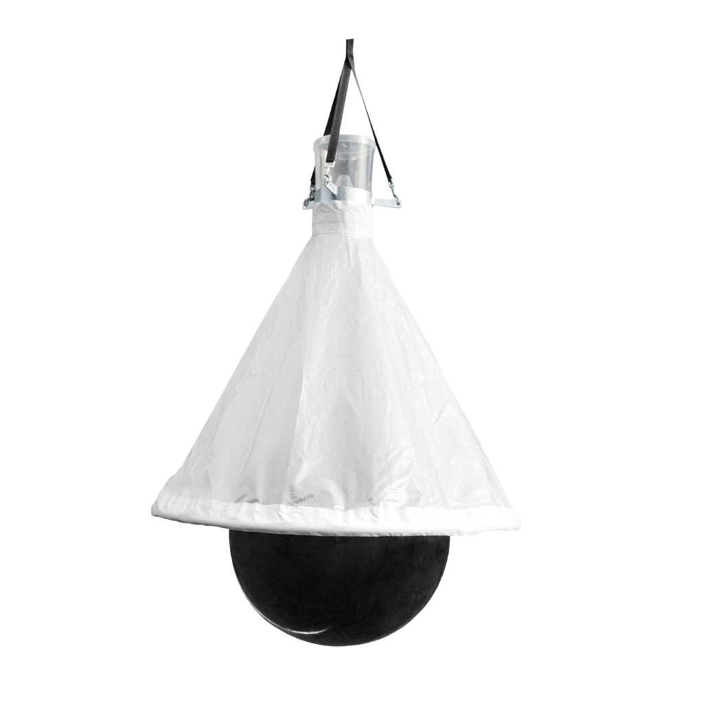 TaonX Dazen- /Wespenval