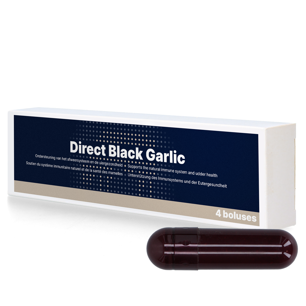 Direct Black Garlic