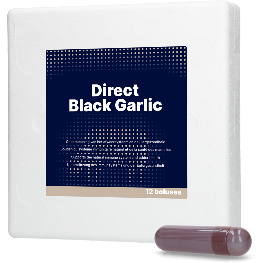 Direct Black Garlic