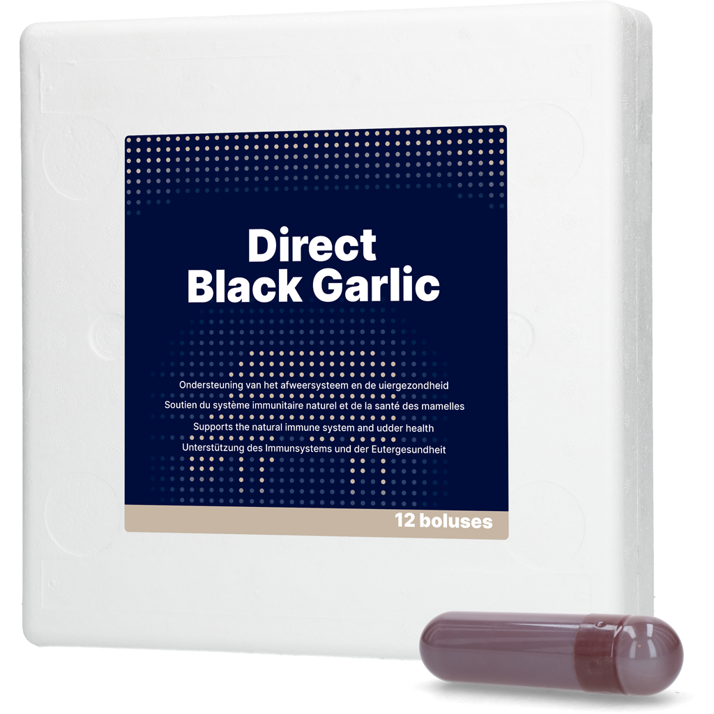 Direct Black Garlic