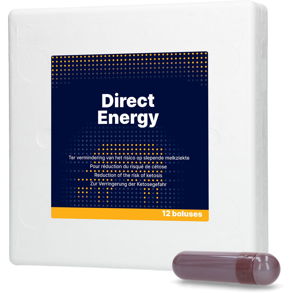 Direct Energy
