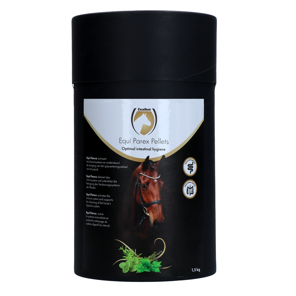 Excellent Horse Parex