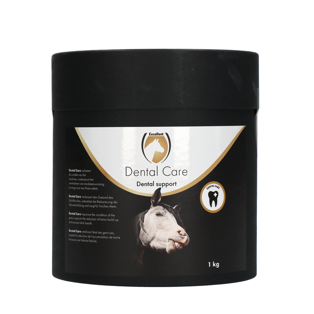 Excellent Horse Dental Care