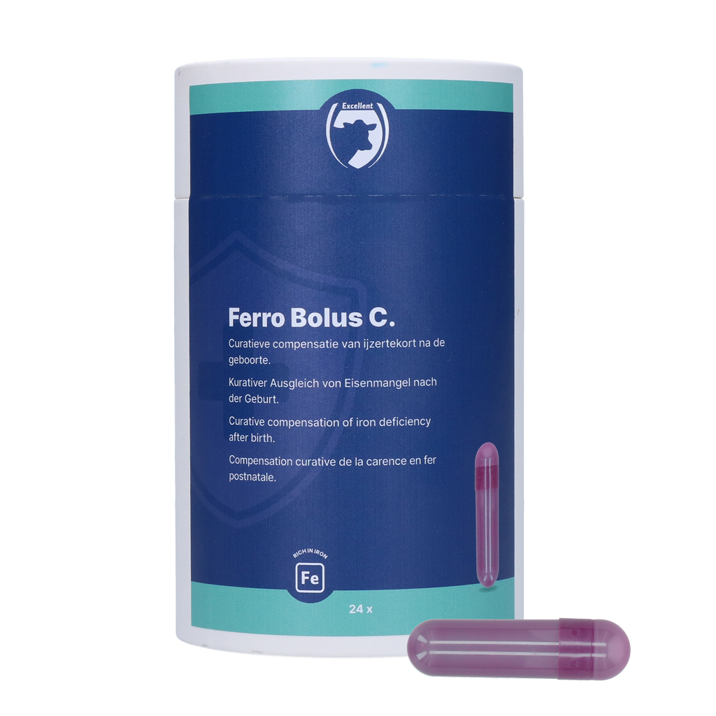 Excellent Ferro Bolus C