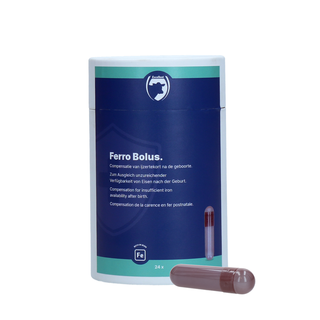 Excellent Ferro Bolus C