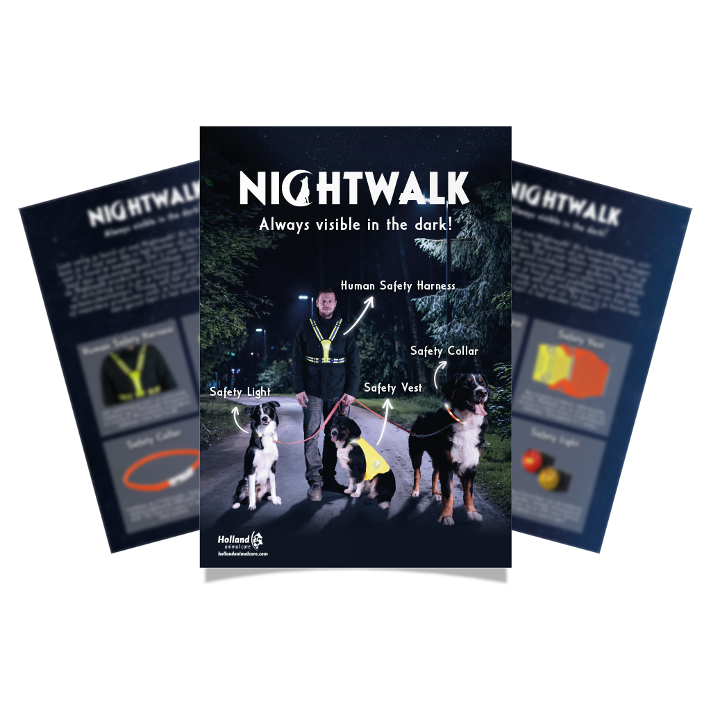 Flyer Nightwalk
