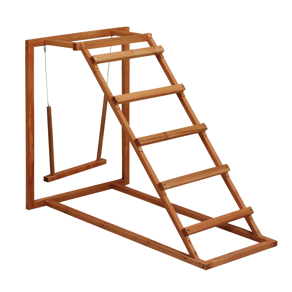 Gaun Chicken Activity Center