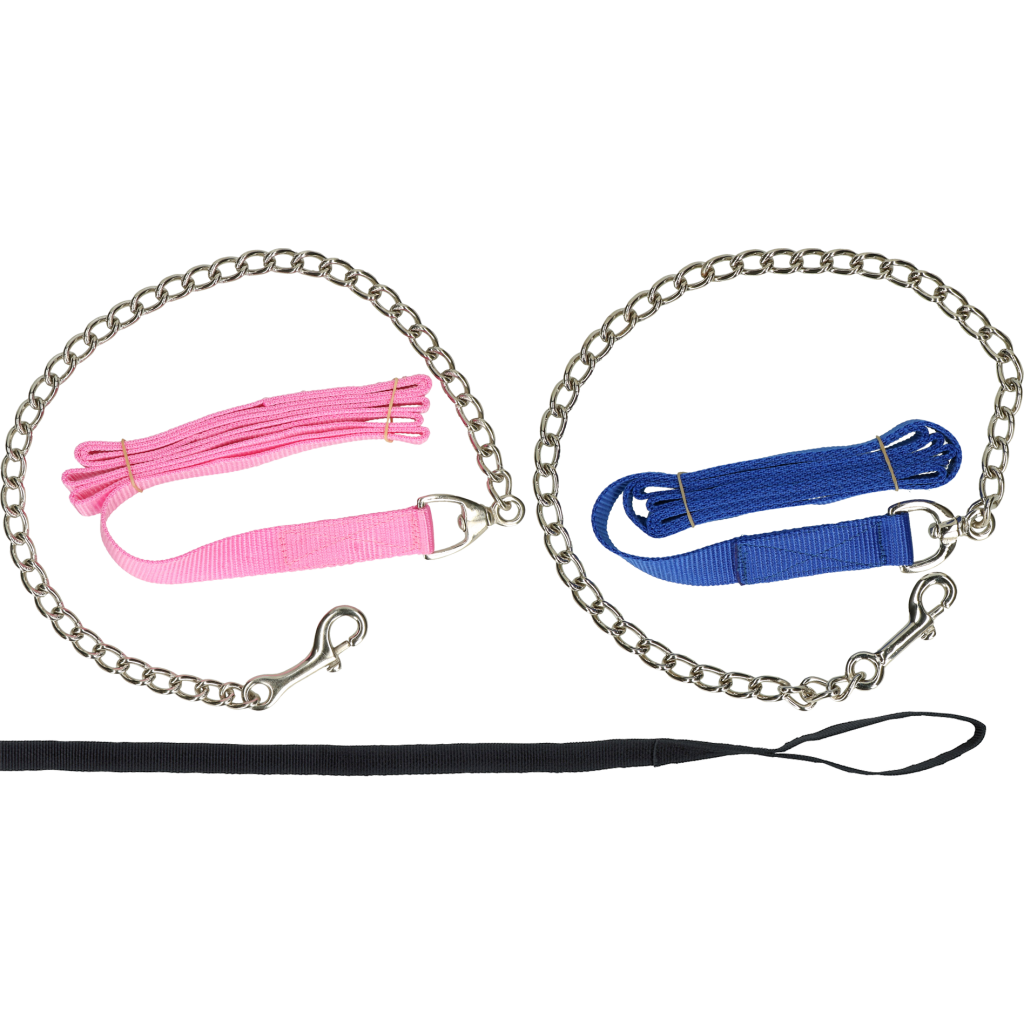 Geleidelijn met ketting zwart 250cm