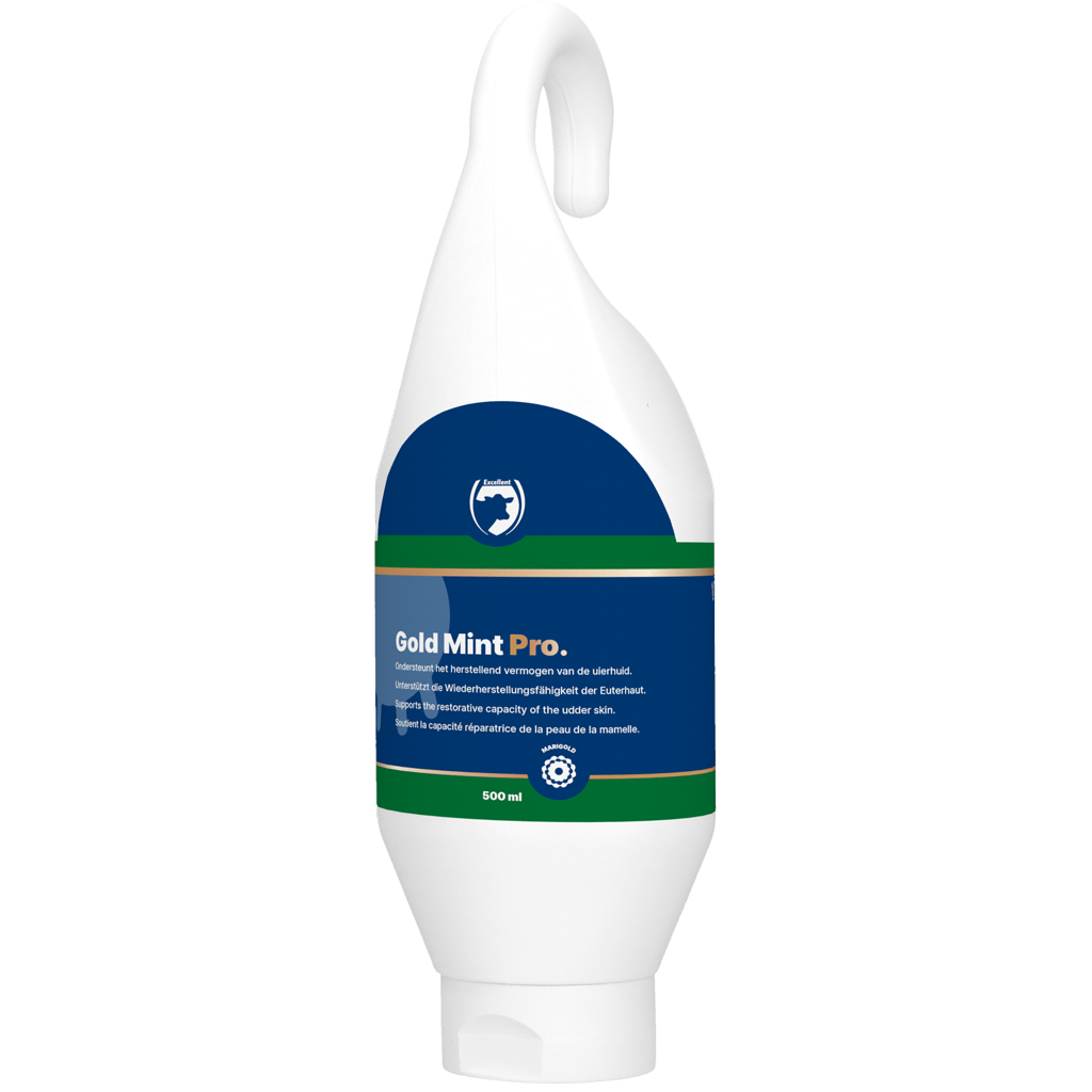 Excellent Gold Mint Pro