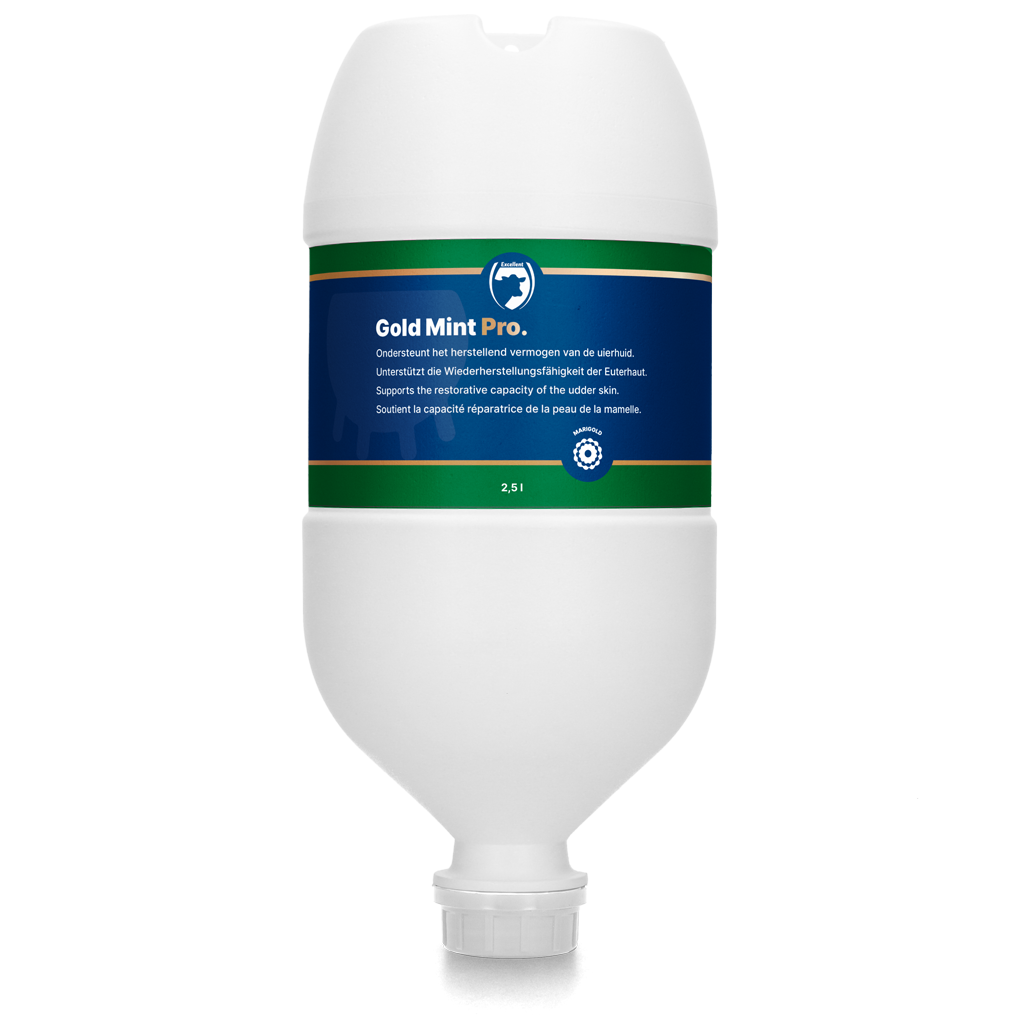 Excellent Gold Mint Pro