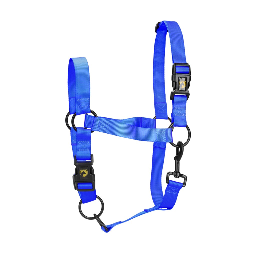 Excellent Essential Halster
