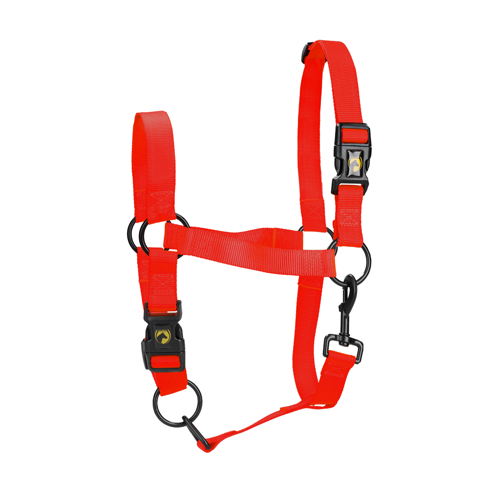 Excellent Essential Halster