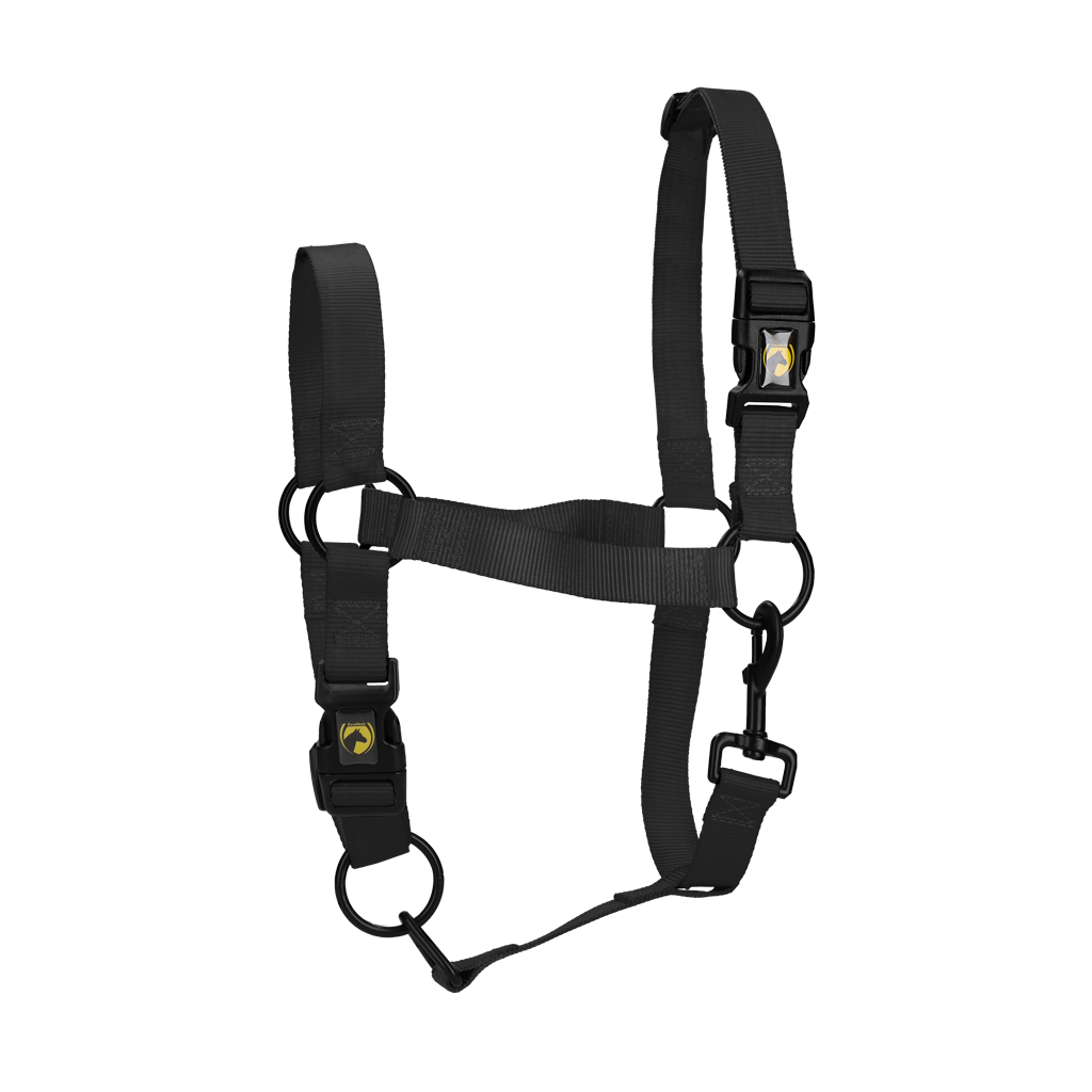 Excellent Essential Halster