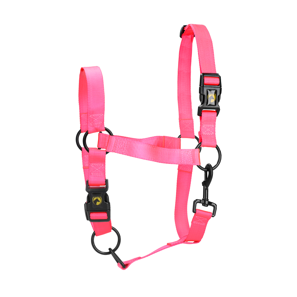 Excellent Essential Halster