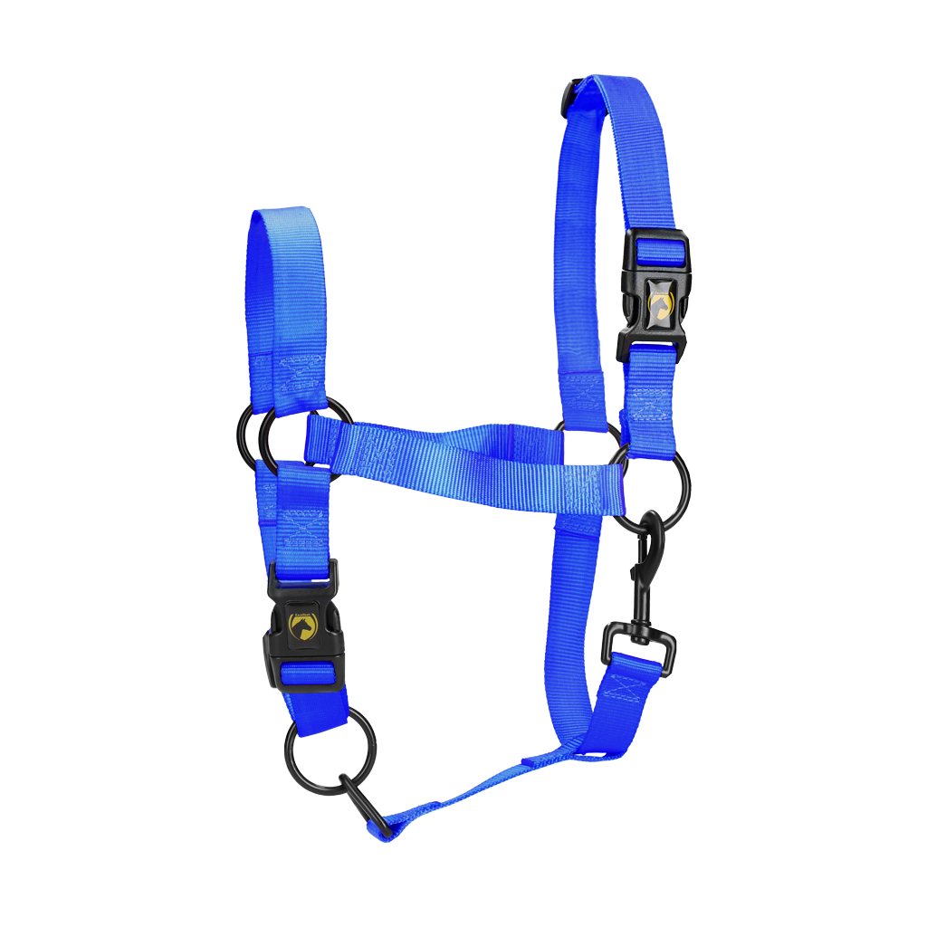 Excellent Essential Halster