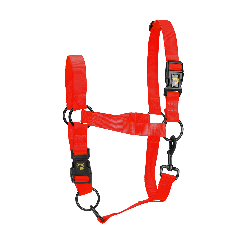 Excellent Essential Halster