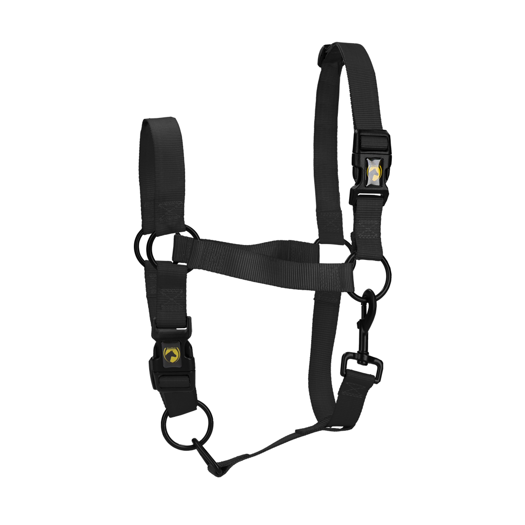 Excellent Essential Halster