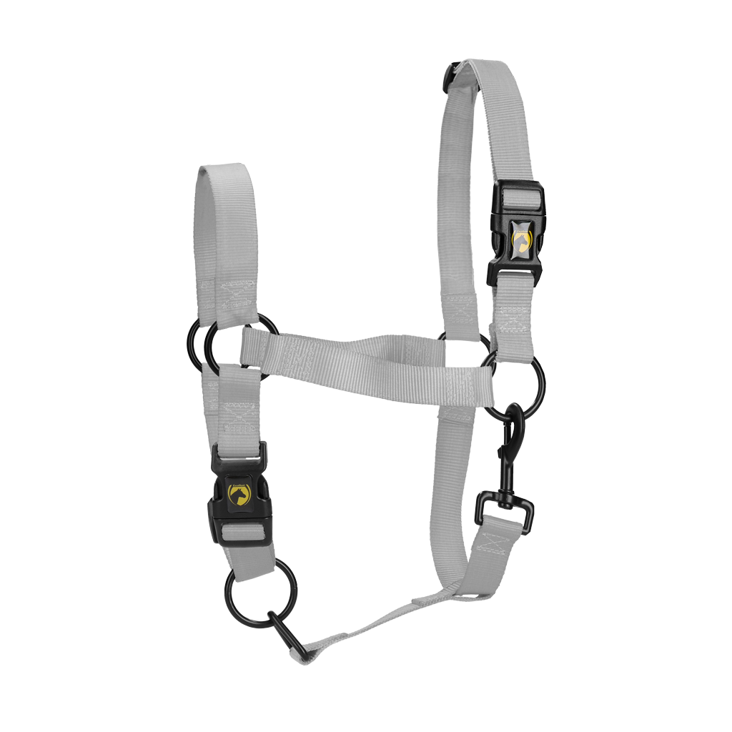 Excellent Essential Halster