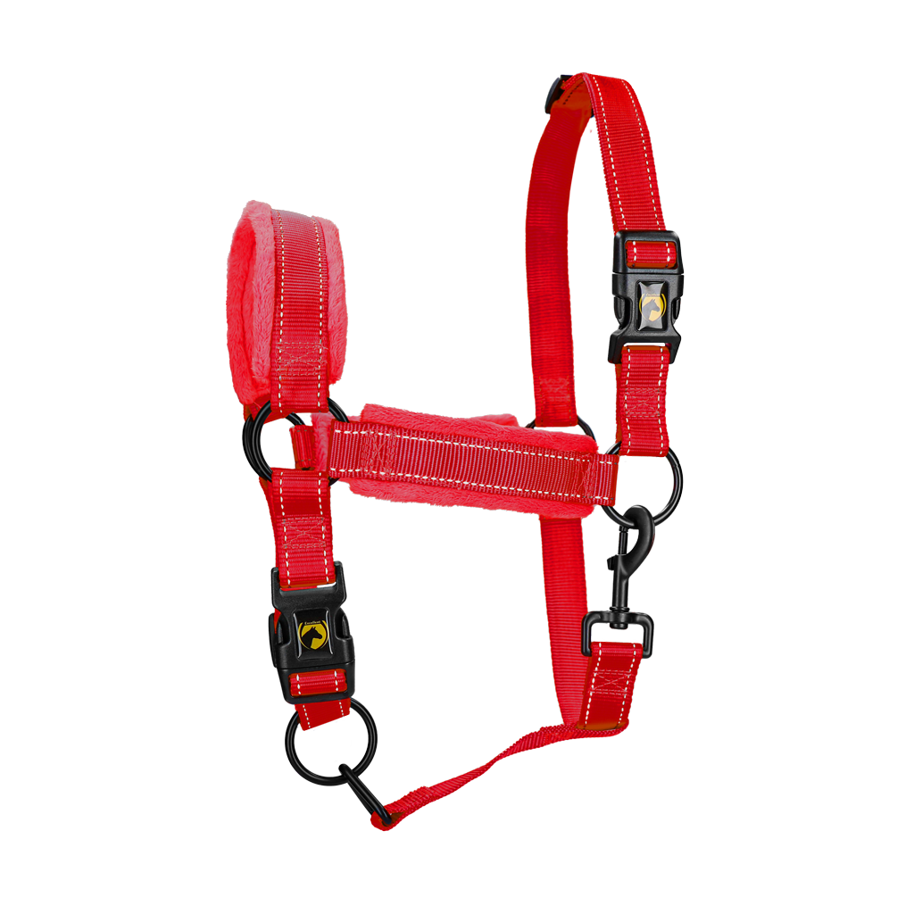 Excellent Superior Halster