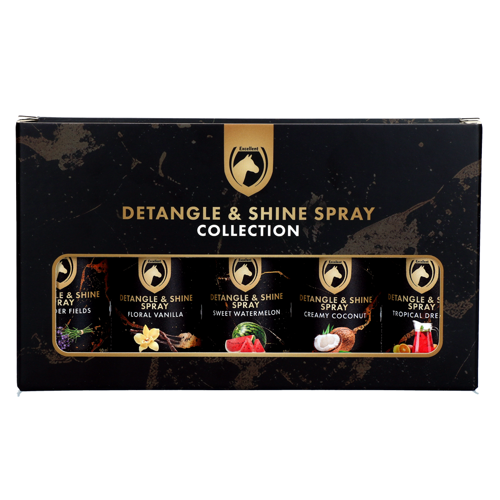 Detangle & Shine Spray Geschenkset