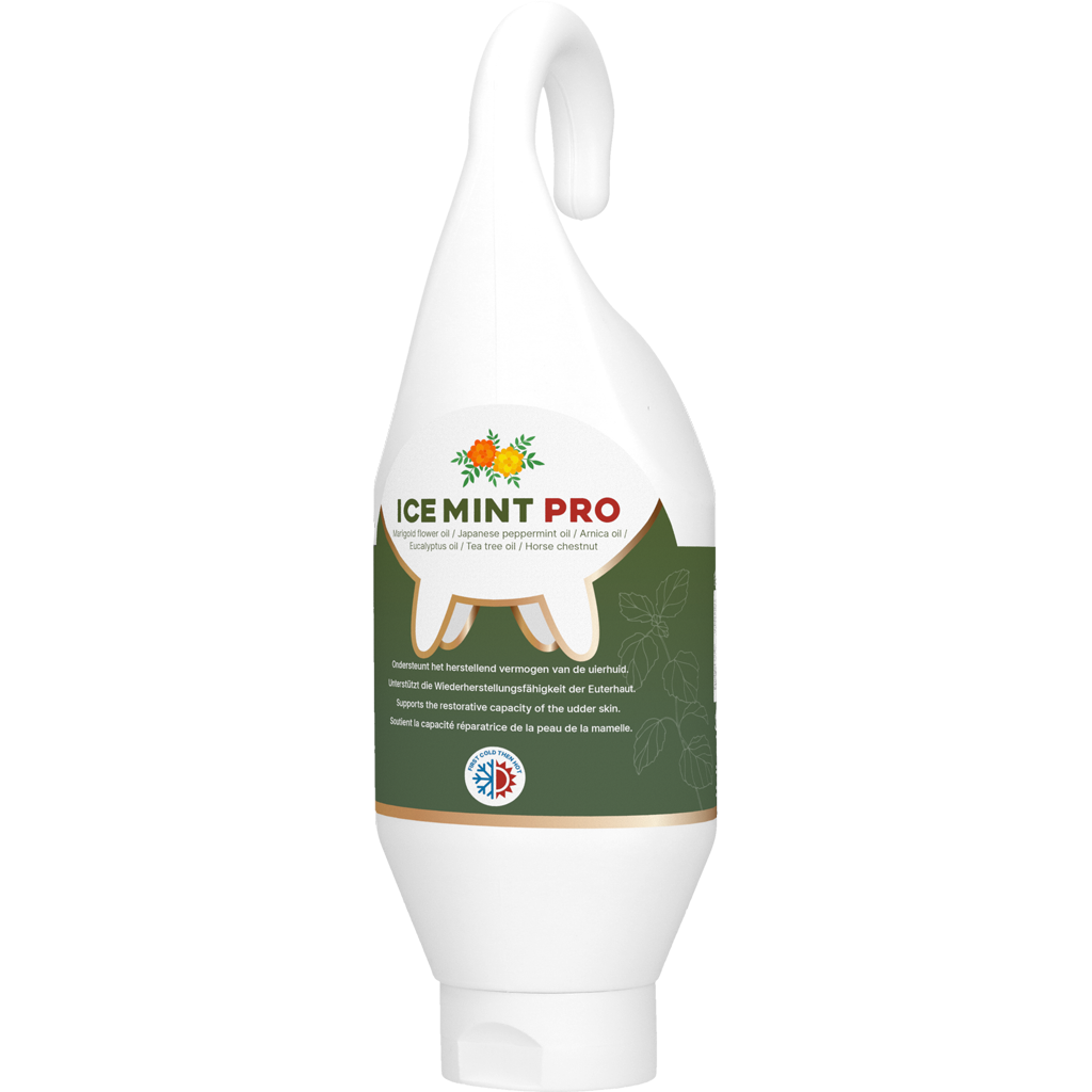 Ice Mint Pro Gel
