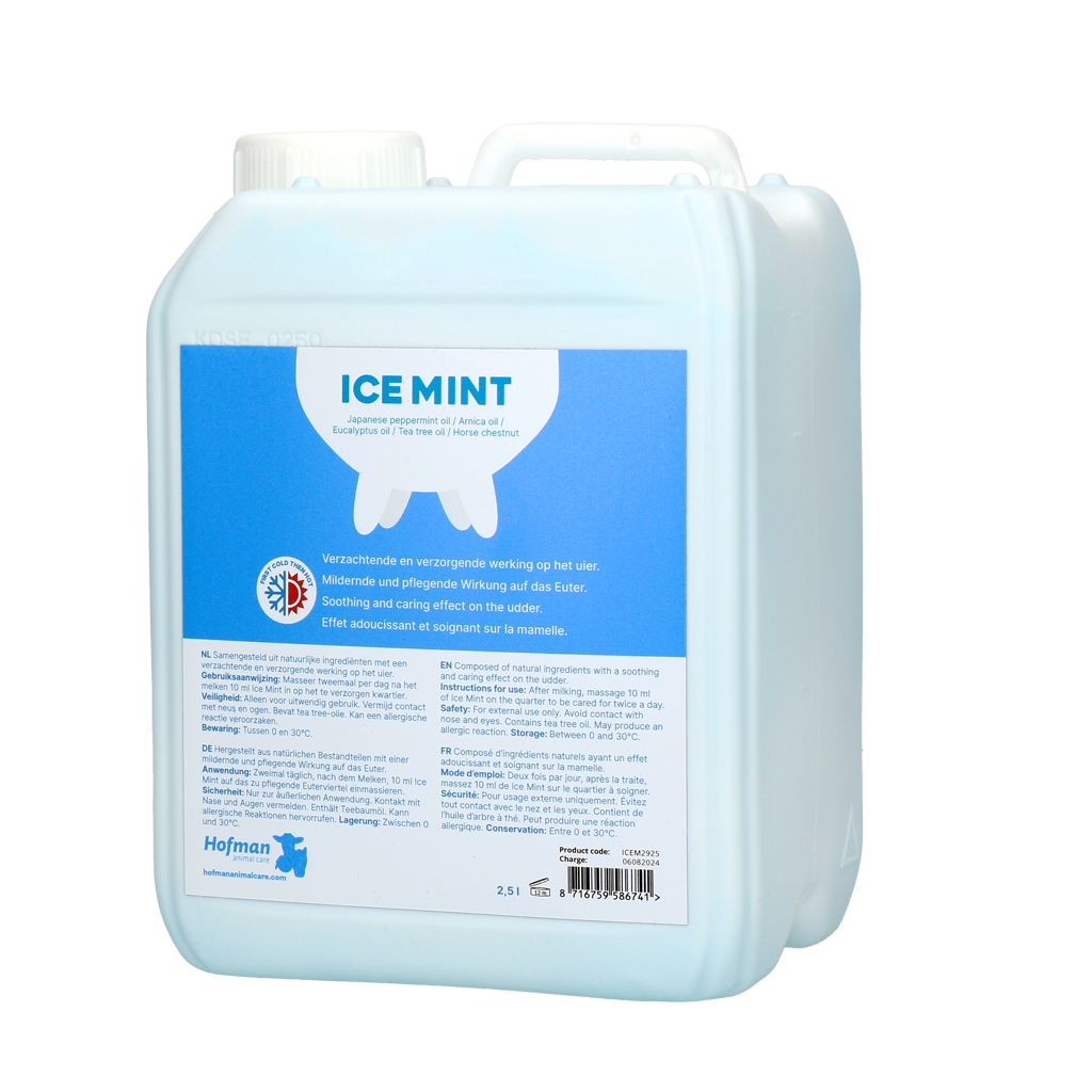Ice Mint Gel