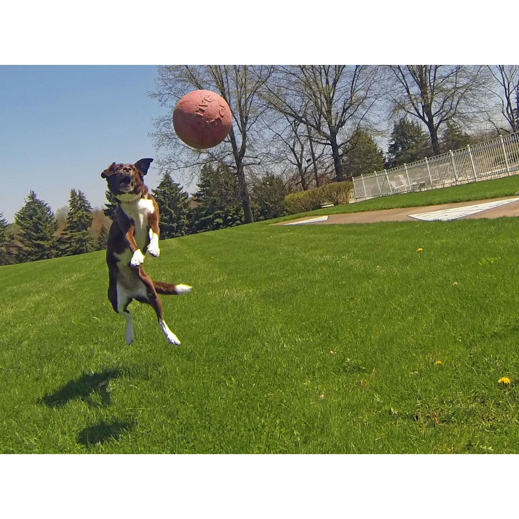 Jolly Tug-n-Toss
