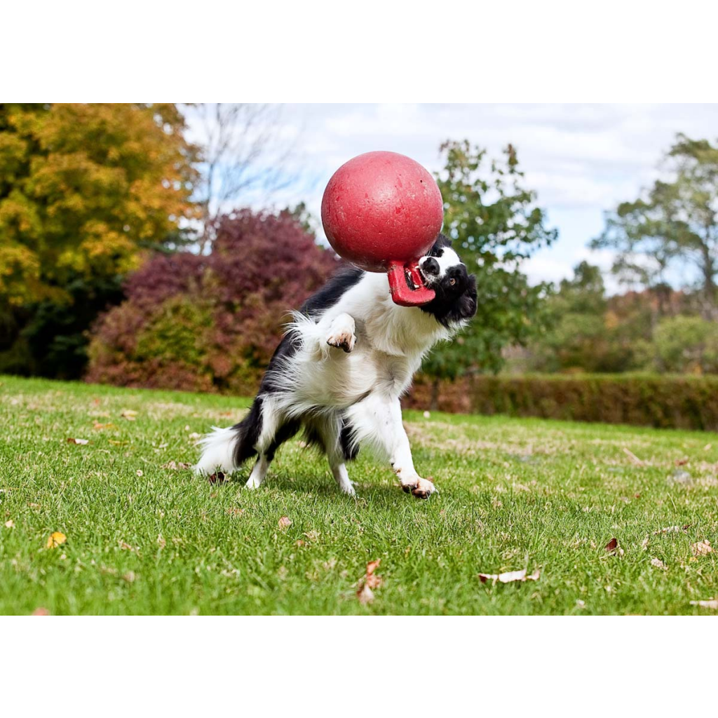 Jolly Tug-n-Toss