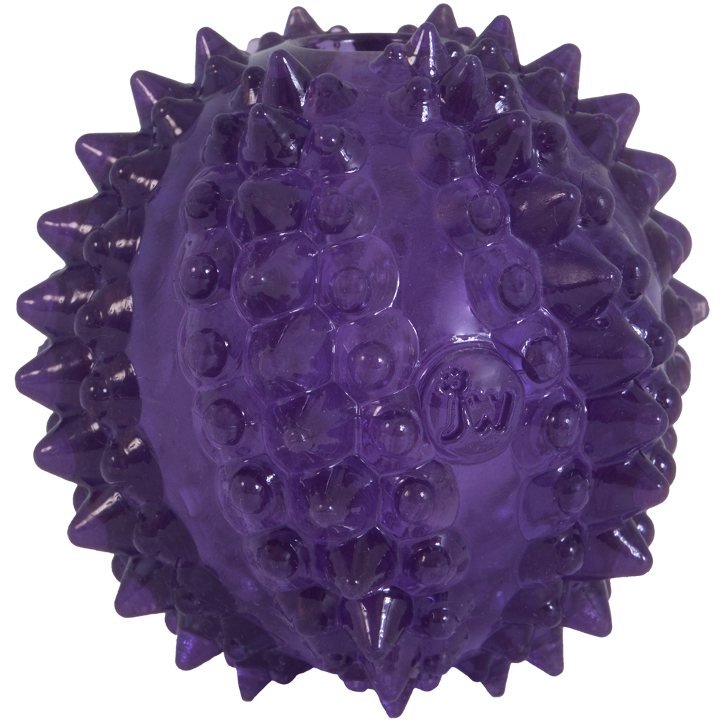 JW Puppy - Bristl-ee Cactus Ball