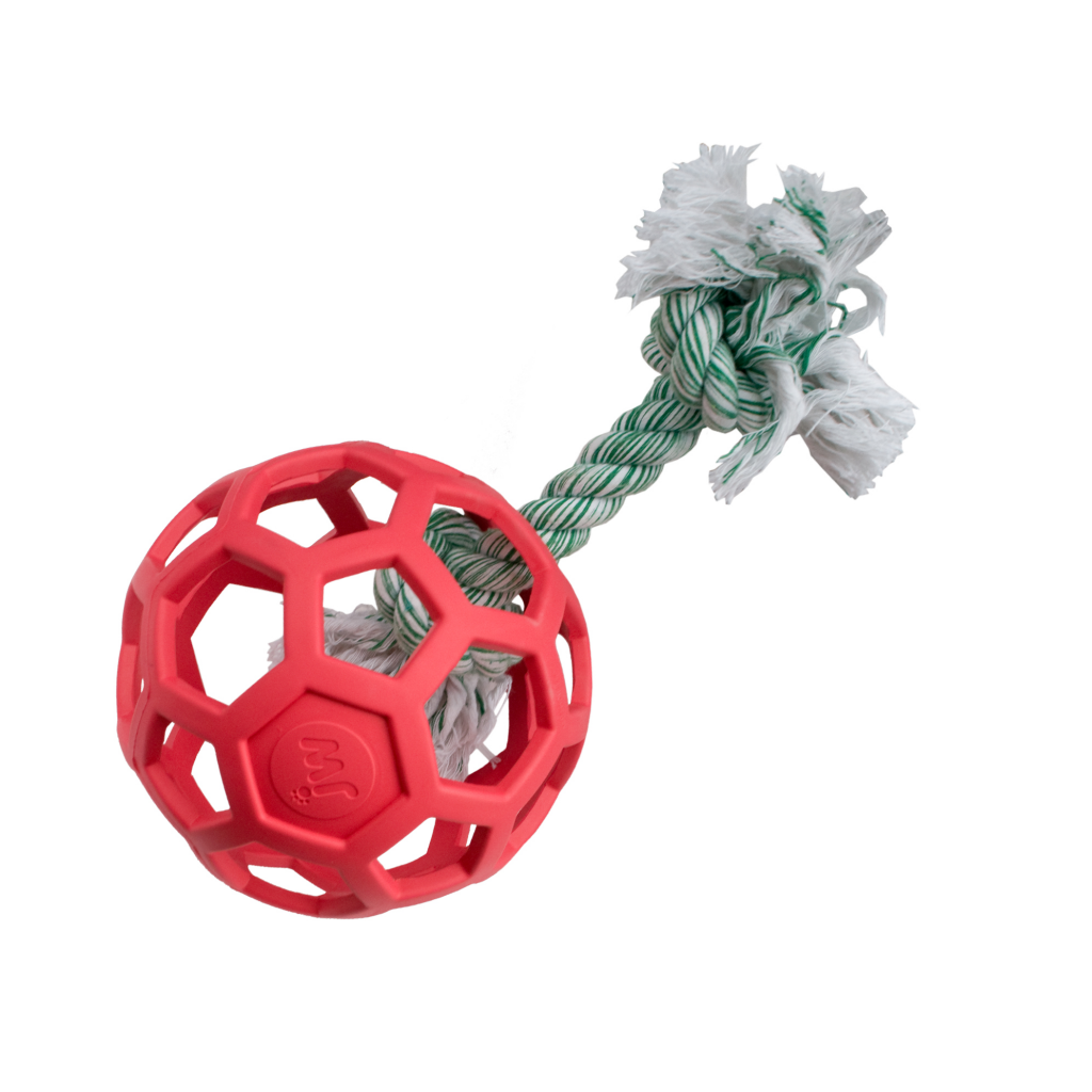 JW Hol-ee Roller assorti