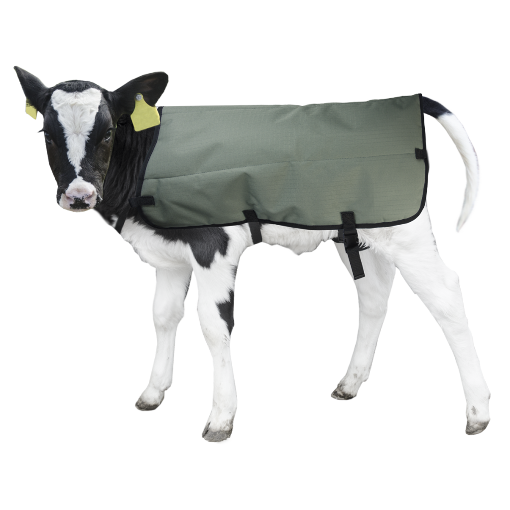 Calf Coat Kalverdek
