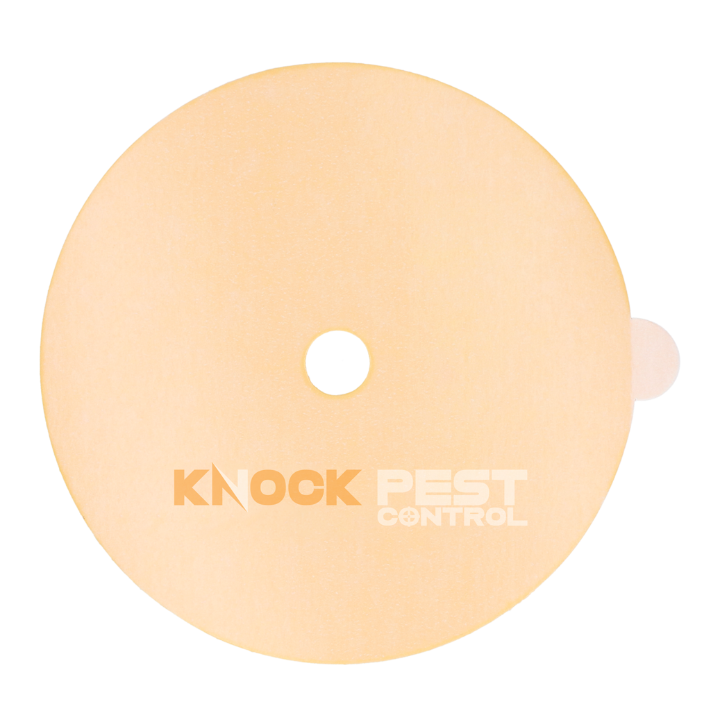Knock Pest Lijmplaat voor Insectenval