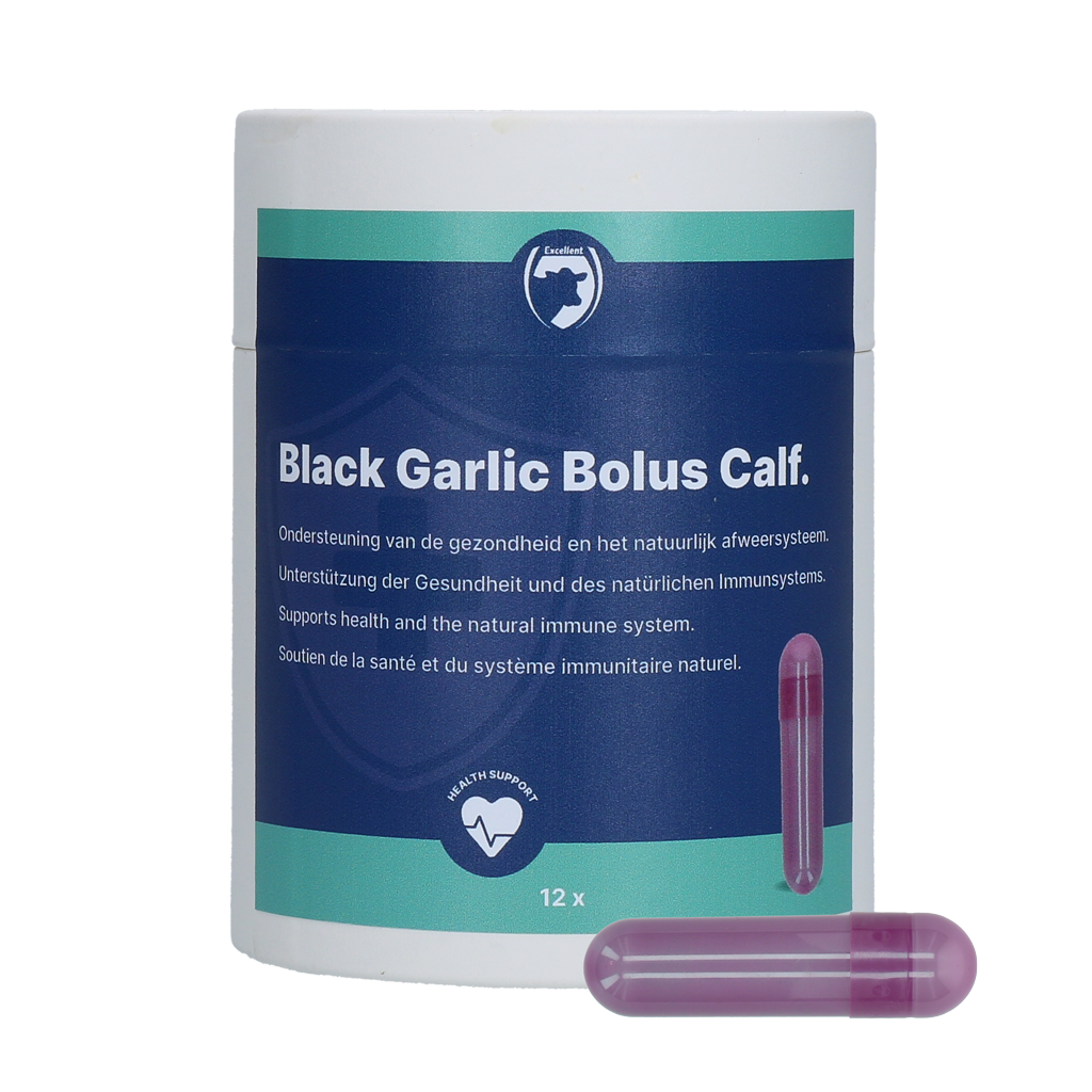 Excellent Black Garlic Bolus