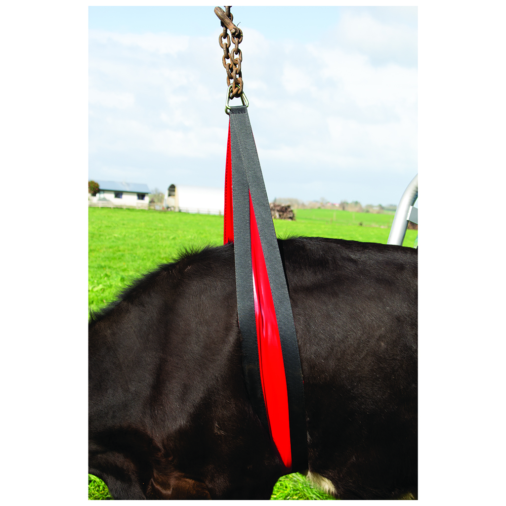 Koelifter Belly Strap Front Lift