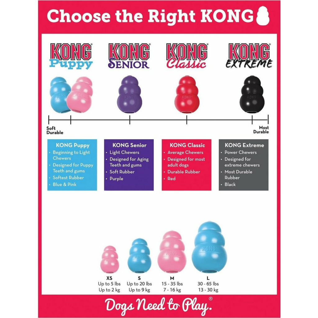 KONG Puppy Assorti