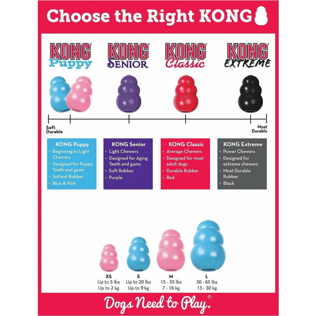 KONG Puppy Assorti
