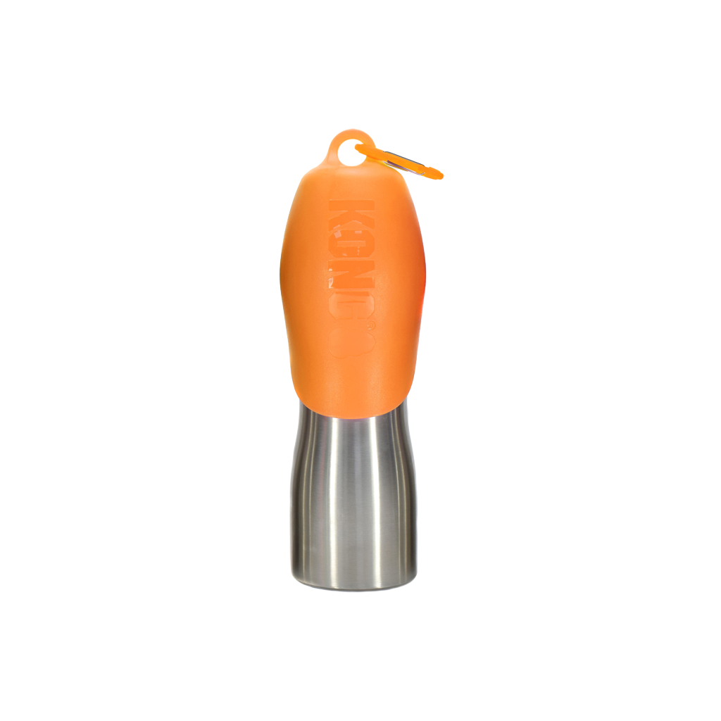 KONG H2O RVS Waterfles