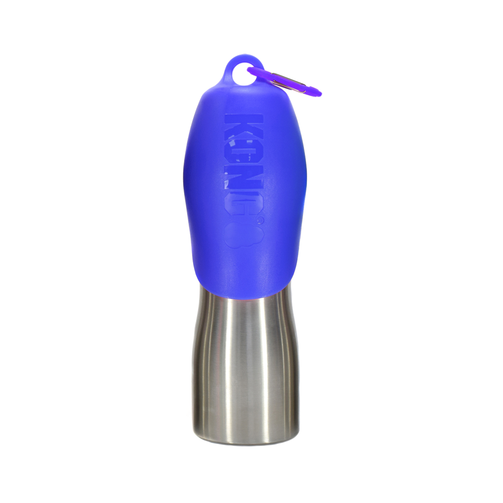 KONG H2O RVS Waterfles