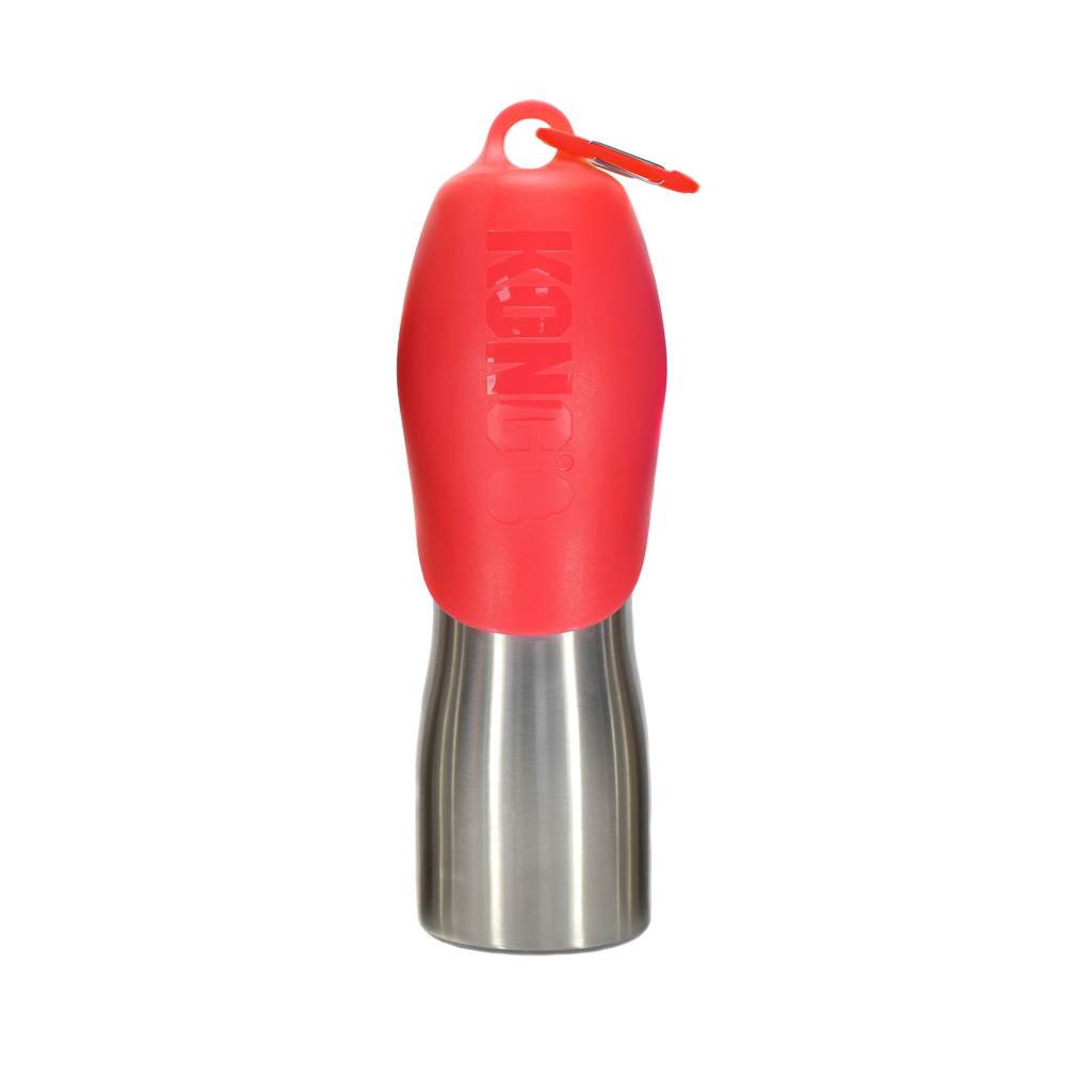 KONG H2O RVS Waterfles