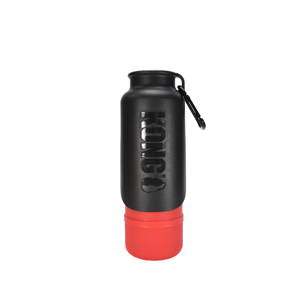 KONG H2O Geïsoleerde waterfles