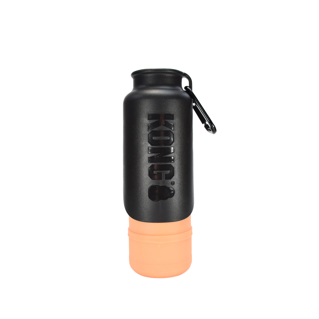 KONG H2O Geïsoleerde waterfles