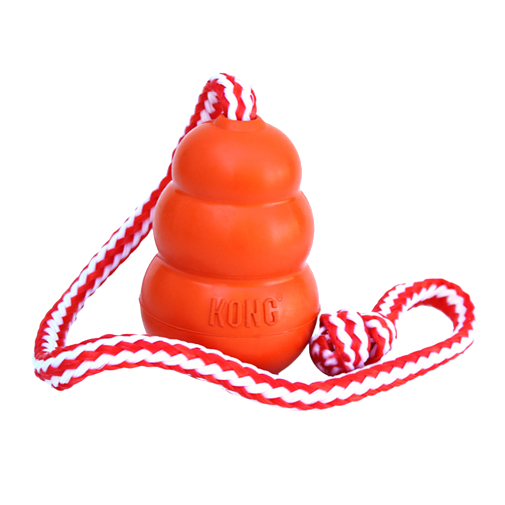 KONG Aqua