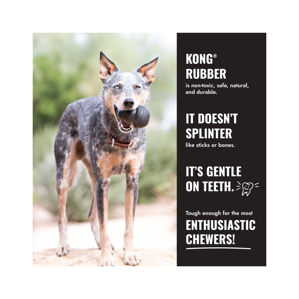 KONG Extreme