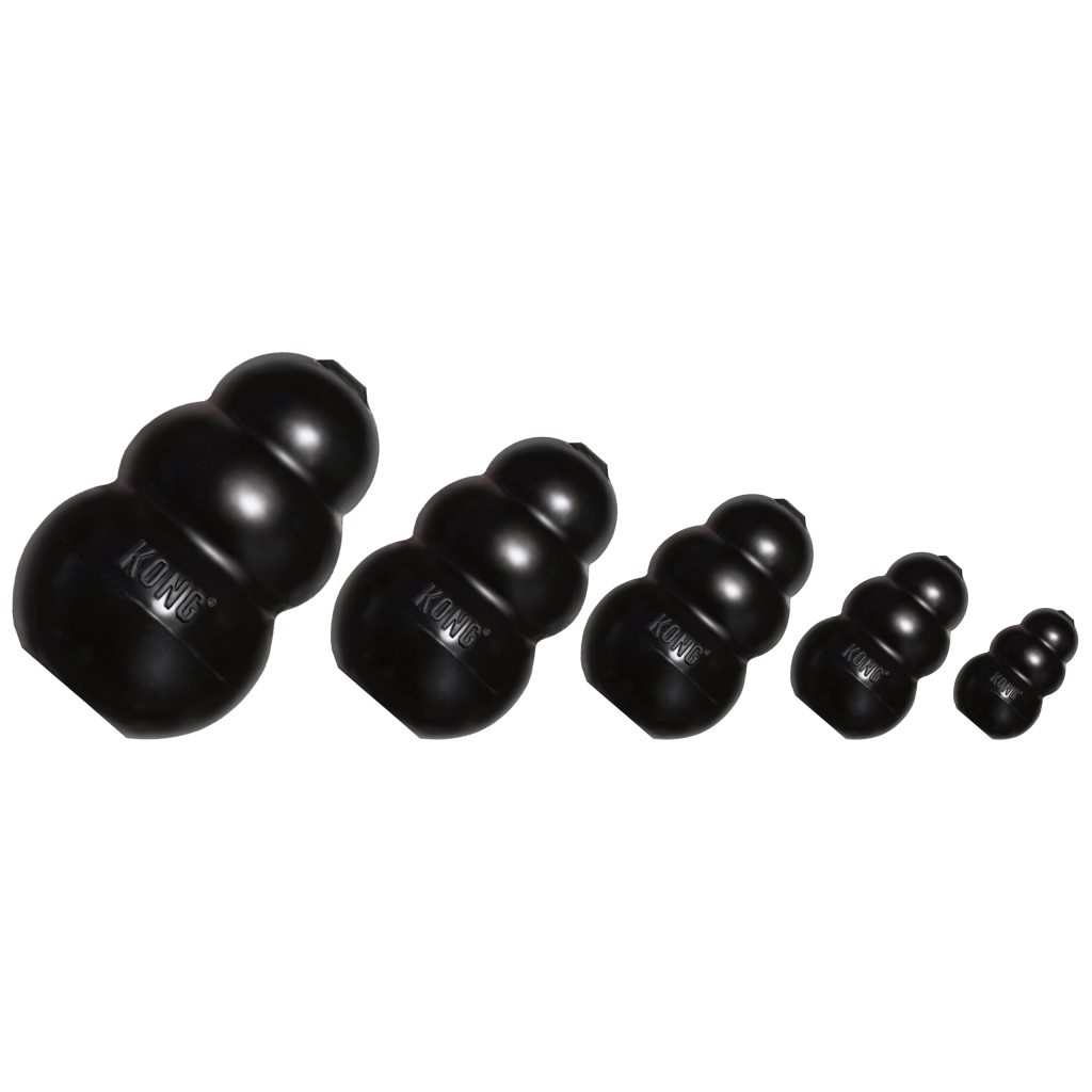 KONG Extreme