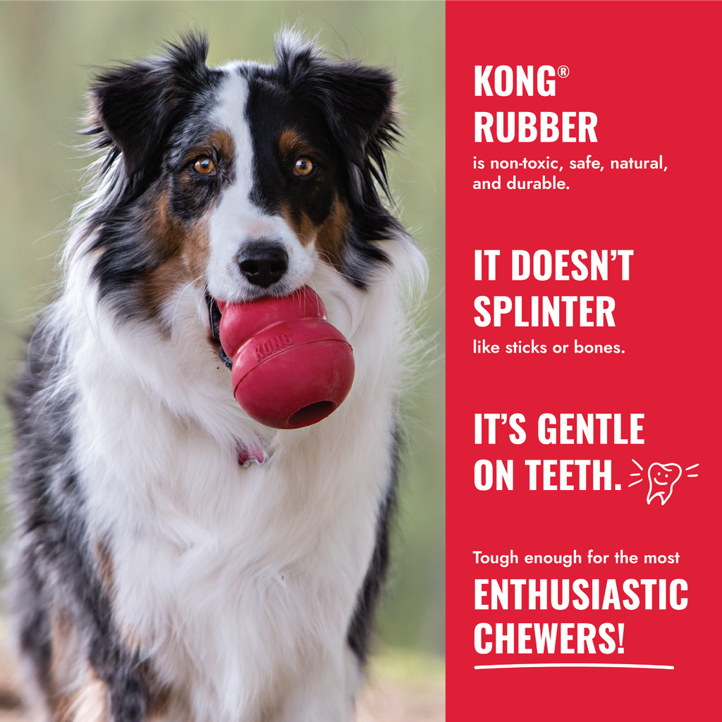 KONG Donut